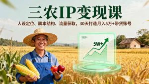 三农IP变现课，人设定位、脚本结构、流量获取，30天打造月入5万+带货账号-木白网创