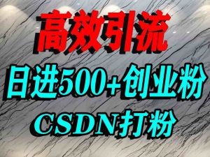 怎么打创业粉？CSDN又一个你不知道的打粉引流神秘平台，单人日引500+精准流量-木白网创