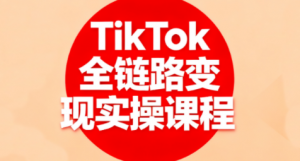 小杨老师·TikTok全链路变现实操课程-木白网创