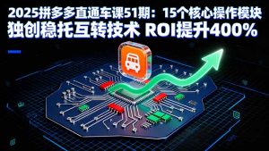 2025拼多多直通车课51期：15个核心操作模块 独创稳托互转技术 ROI提升400%-木白网创