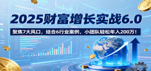 2025财富增长实战6.0，聚焦7大风口，结合6行业案例，小团队轻松年入200万！-木白网创