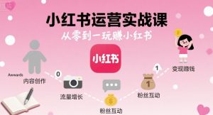 小红书运营实战课，从零到一玩賺小红书-木白网创
