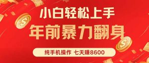 七天狂赚8600，小白纯手机操作，日入1000+-木白网创