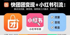 快团团变现+小红书引流：解决没流量、难变现、缺帮卖三大痛点 实现月入3w+-木白网创