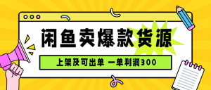 闲鱼卖爆款货源，每天利润1000，上架即出单-木白网创