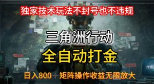 三角洲板砖揭秘项目免费送卡密-木白网创