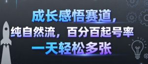 成长感悟赛道，纯自然流，百分百起号率 一天轻松多张-木白网创