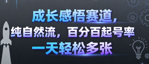 成长感悟赛道，纯自然流，百分百起号率 一天轻松多张-木白网创