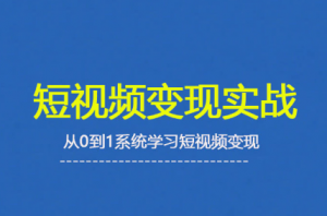 杨磊老师·2025短视频变现实战课-木白网创
