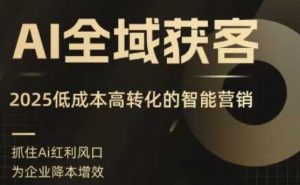 AI全域获客实训营，2025低成本高转化的智能营销，精准找客，高效营销-木白网创