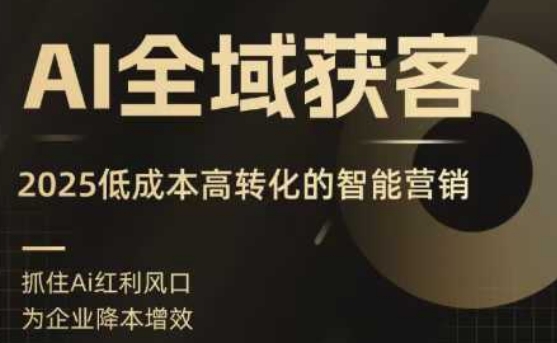 AI全域获客实训营，2025低成本高转化的智能营销，精准找客，高效营销-木白网创