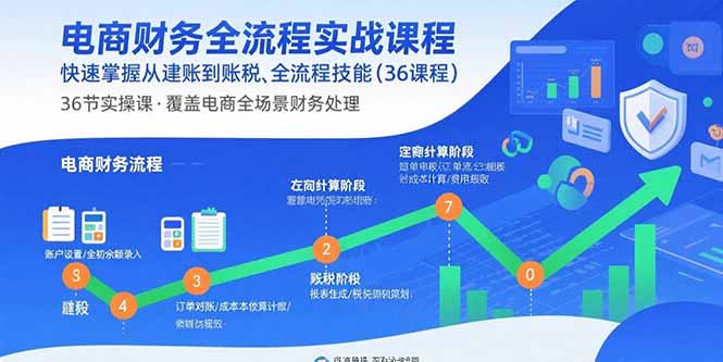 电商财务全流程实战课程：快速掌握从建账到报税的全流程技能(36节课-木白网创