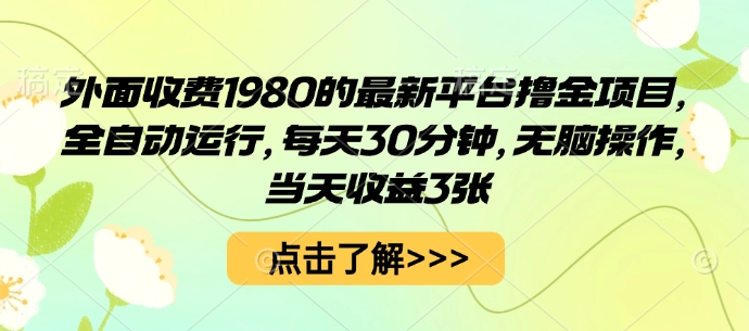 外面收费1980的最新平台撸金项目,全自动运行,每天30分钟,无脑操作,当天收益3张【揭秘】-木白网创