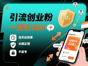 引流创业粉，一天引100+，当天出效果，长期正规，不废号-木白网创