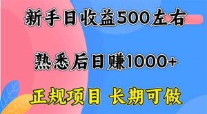 新手日收益500+ 正规项目 长期可做-木白网创