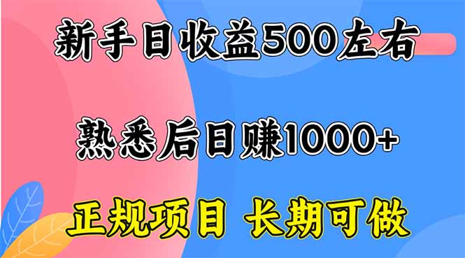 新手日收益500+ 正规项目 长期可做-木白网创