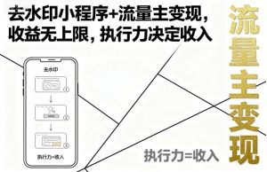 去水印小程序+流量主变现，收益无上限，执行力决定收入-木白网创