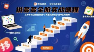 拼多多全阶实战课程，从新手小白到运营高手，海量实战玩法+全年实时更新【2025年9月更新】-木白网创