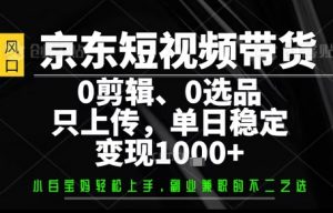 你出账号，我来运营，保底日入1k+，开启躺賺模式【揭秘】-木白网创
