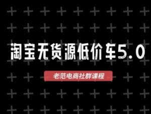 淘宝无货源价车5.0，​2025最新VIP淘宝无货源课程，1688代发，蓝海选品，零成本创业首选(更新)-木白网创