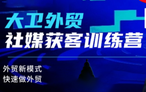 大卫老师·外贸社媒获客独家训练营(更新10月)-木白网创