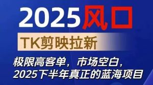 2025风口TK剪映capcut拉新项目，极限高客单，市场空白，2025下半年真正的蓝海项目-木白网创