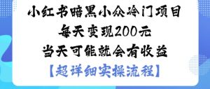小红书暗黑小众冷门项目每天变现2张当天可能就会有收益-木白网创