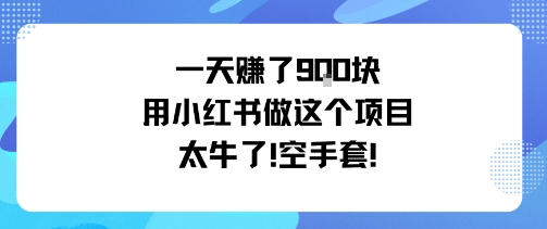 一天挣了9张用小红书做这个项目太牛了，空手套-木白网创