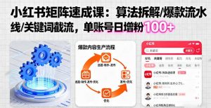 小红书矩阵起号速成课：算法拆解/爆款流水线/关键词截流 单账号日增粉100+-木白网创