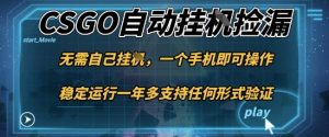 游戏自动挂G捡漏，一个手机即可操作，当天可操作见到结果，新手小白轻松月入1W+【揭秘】-木白网创