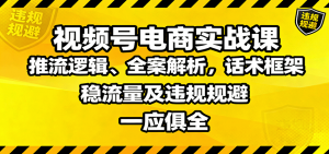 视频号电商实战课：推流逻辑、全案解析，话术框架，稳流量及违规规避等-木白网创