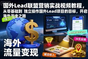 国外Lead联盟营销实战视频教程，从零基础到独立操作国外Lead项目的目标，开启海外淘金之路-木白网创