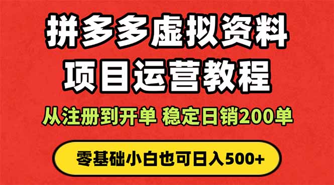 拼多多开店运营课程： 蓝海变现玩法，轻松实现睡后收入 零基础小白也可…-木白网创