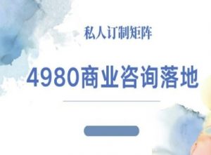4980商业咨询师落地课程-ip运营高客单教程-木白网创