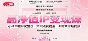 高净值IP变现课：小红书差异化定位，文案点赞成金， AI高效做短视频-木白网创