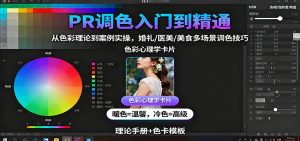PR调色入门到精通：从色彩理论到案例实操，婚礼/医美/美食多场景调色技巧-木白网创