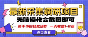 新版采集调研项目，截图上传即可，无脑操作，日收益1-2张-木白网创