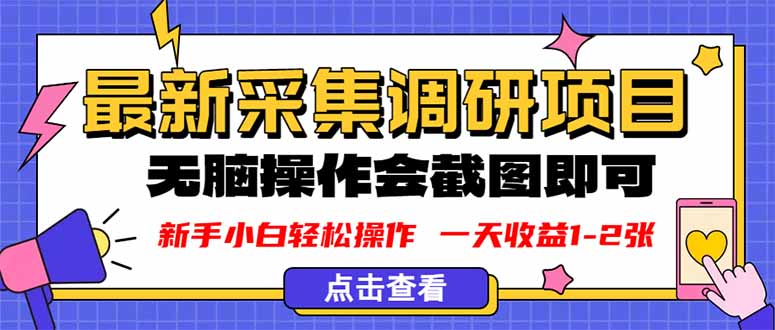 新版采集调研项目，截图上传即可，无脑操作，日收益1-2张-木白网创
