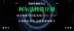 阿尔法托管计划 单账号月入3000-5000，长期稳定项目，新手小白轻松上手。-木白网创