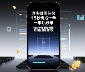 酒店截图任务，15秒完成一单，一单0.6米，任务不限量随便接，矩阵拉满单日3张【揭秘】-木白网创