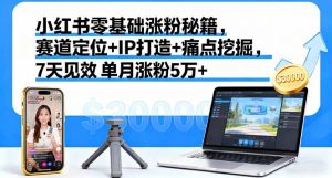小红书零基础涨粉秘籍，赛道定位+IP打造+痛点挖掘，7天见效 单月涨粉5万+-木白网创
