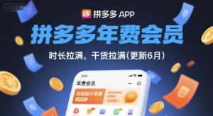 拼多多年费会员，实经验分享操，时长拉满，干货拉满(更新10月)-木白网创