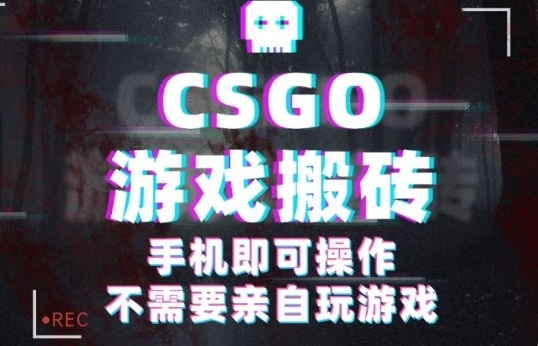 CSGO游戏挂G捡漏,单日扫货5张+,年底小高峰上车可吃肉,手机即可操作,兼职副业创业网创【揭秘】-木白网创
