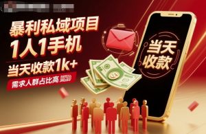 暴利私域项目1人1手机，当天收款1k+，需求人群占比高，当天就能见到钱-木白网创