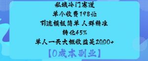 私域冷门赛道:单个收费198米引流模板简单人群精准转化45%单人一天大概收益是1k+-木白网创