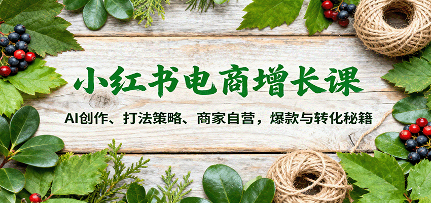 小红书电商增长课：AI创作、打法策略、商家自营，爆款与转化秘籍-木白网创