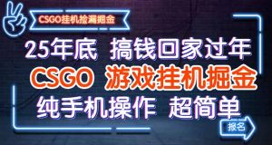 25年底搞钱回家过年，CSGO游戏挂机掘金，纯手机操作超简单-木白网创