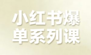 小红书爆单系列课，聚焦小红书电商全链路增长-木白网创