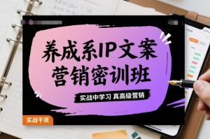 养成系IP文案营销密训班，实战中学习真高级营销-木白网创