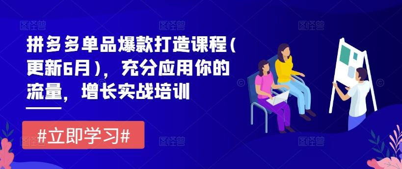 拼多多单品爆款打造课程(更新6月)，充分应用你的流量，增长实战培训-木白网创